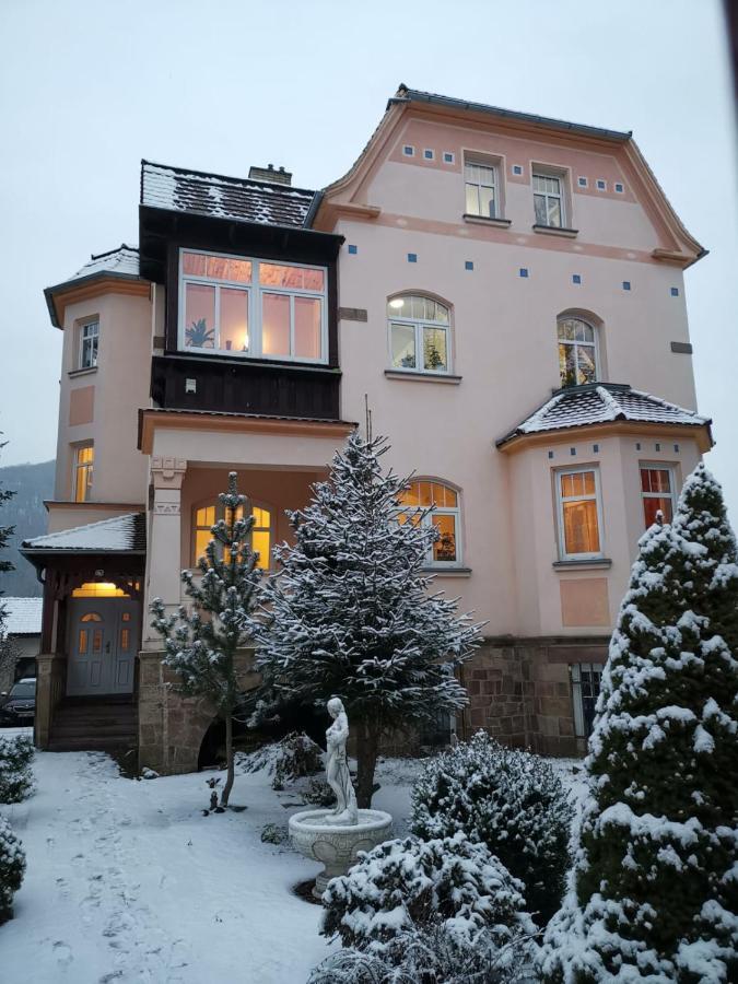 Villa Federer Dolni Zalezly Zewnętrze zdjęcie